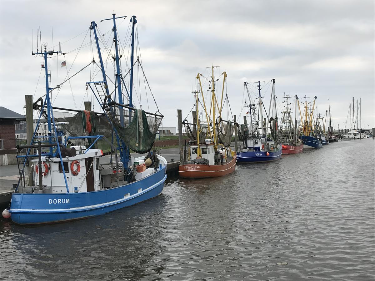 Ferienhaus Strandrauber Dorum Neufeld Zewnętrze zdjęcie
